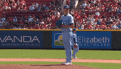 Blue Jays Baseball GIF by Toronto Blue Jays