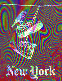 colors lol GIF by PEEKASSO