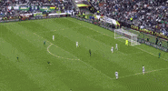 Copa America Centenario Argentina GIF by Univision Deportes
