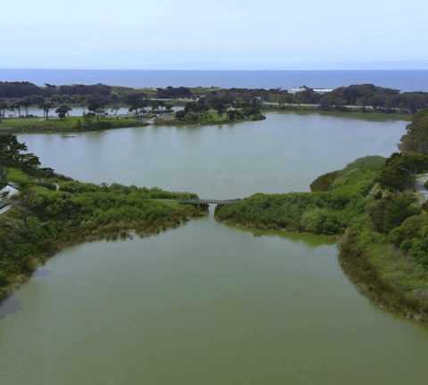 Lake Merced