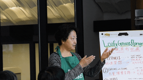 LowerEastSidePartnership giphyupload GIF