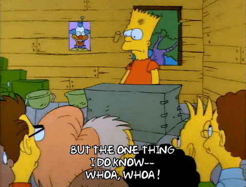 Season 1 GIF by The Simpsons