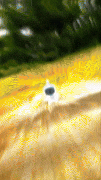 Robot Xbox GIF by Youtooz