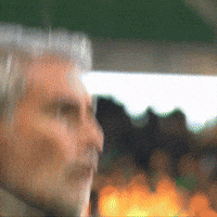 Celebration Coach GIF by AS Saint-Étienne