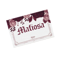 Eyeshadow Palette Sticker by Chula Beauty