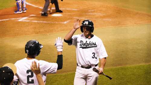 GIF by Jacksonville University