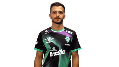 Esports Fabio Sticker by SV Werder Bremen