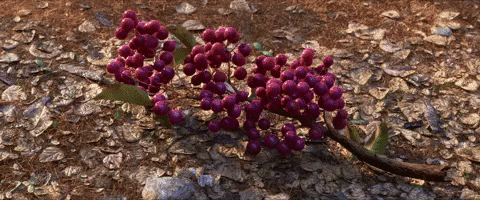 disney good dino GIF by The Good Dinosaur