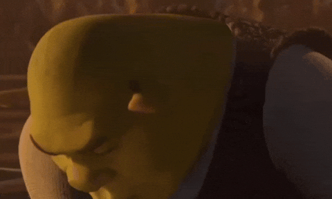 Movie gif. Shrek lifts his head and has a perplexed expression that slowly spreads into a smile. 