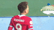 Premier League Football GIF by MolaTV