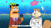 season 9 it came from goo lagoon GIF by SpongeBob SquarePants