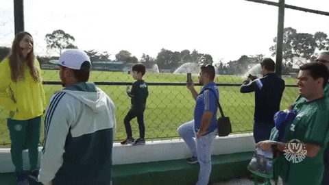Selfie Tour GIF by SE Palmeiras