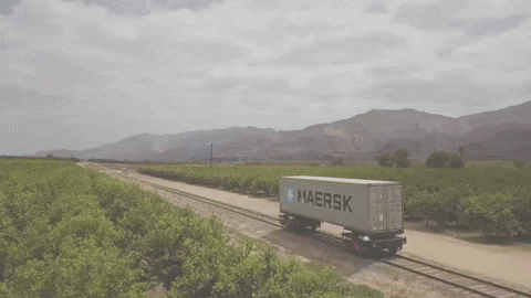 dotla giphyupload GIF