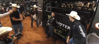 Pbr GIF
