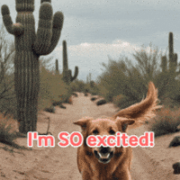 So Excited Bellavasta GIF by Jump Consulting