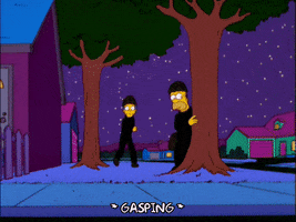 homer simpson GIF