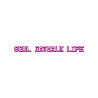 Soul Catwalk Life Sticker by Soul Glamour
