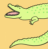 Alligator Gator GIF
