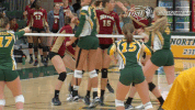 north dakota state bison GIF by NDSU Athletics