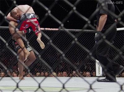 grappling martial arts GIF