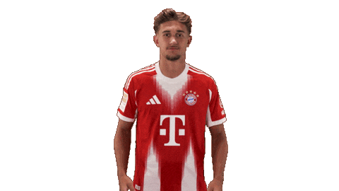 Fc Bayern Football Sticker by Bundesliga