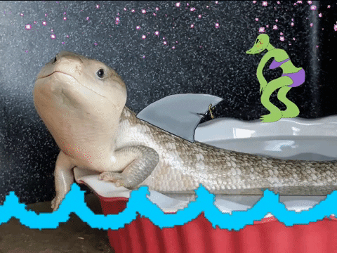 twerk lizard GIF by Display Name