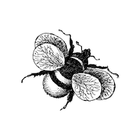 Illustration Vintage Sticker by The Wild Curiosity