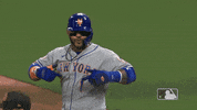 New York Sport GIF by MLB