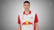 Disappointed Frustration GIF by FC Red Bull Salzburg