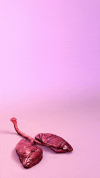 GIF by biancakennedy