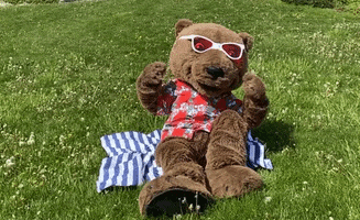 Happy Big Red GIF by Touchdown's Team