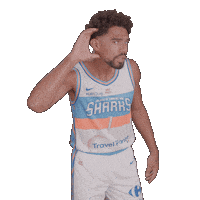 Sharksantibes Sticker by Antibes Sharks