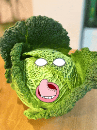 Cabbage Wirsing GIF