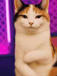 Chewy GIF