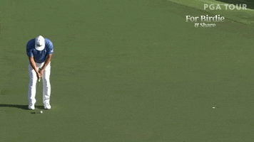 wilson staff GIF by Wilson Golf