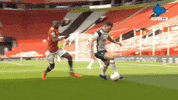 Spurs Tottenham GIF by MolaTV