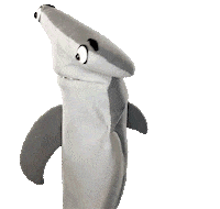 Chat Shark Sticker by Aquarium of the Pacific