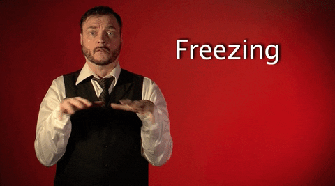 Freezing Sign Language GIF by Sign with Robert