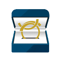 Ring Award Sticker by Bindinc