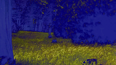 Mikal Cronin Seeker GIF by Merge Records