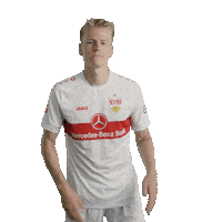 Football Applause Sticker by VfB Stuttgart