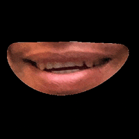 MUITEC muitec muiwow muionline GIF