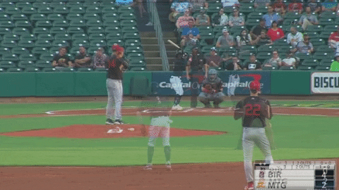 tesstass giphyupload GIF