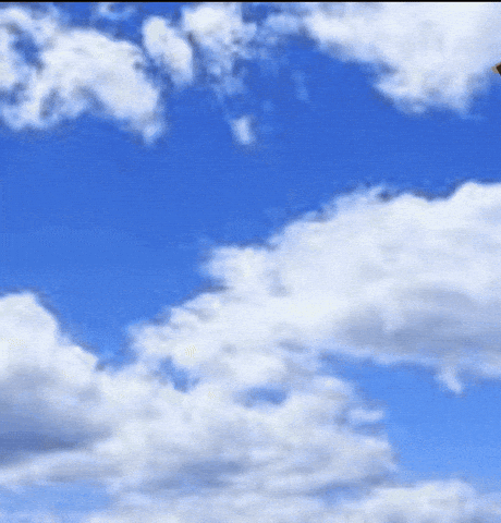 snif115 giphyupload fall sky falling GIF