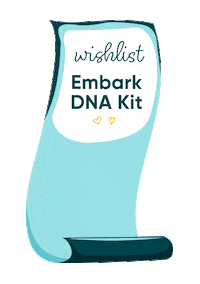 Embarkvet Holiday Sticker by EmbarkVet