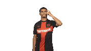 Bayer Leverkusen Thinking Sticker by Bundesliga