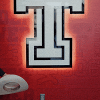 Chloe Riassetto GIF by Texas Tech Softball