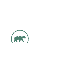 Splash Bebidas Urbanas Sticker by Bebasplash