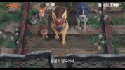The Underdog GIF