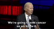 Joe Biden GIF by GIPHY News